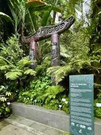 Cloud Forest — A Cool Summer Escape in Singapore’s Urban Jungle