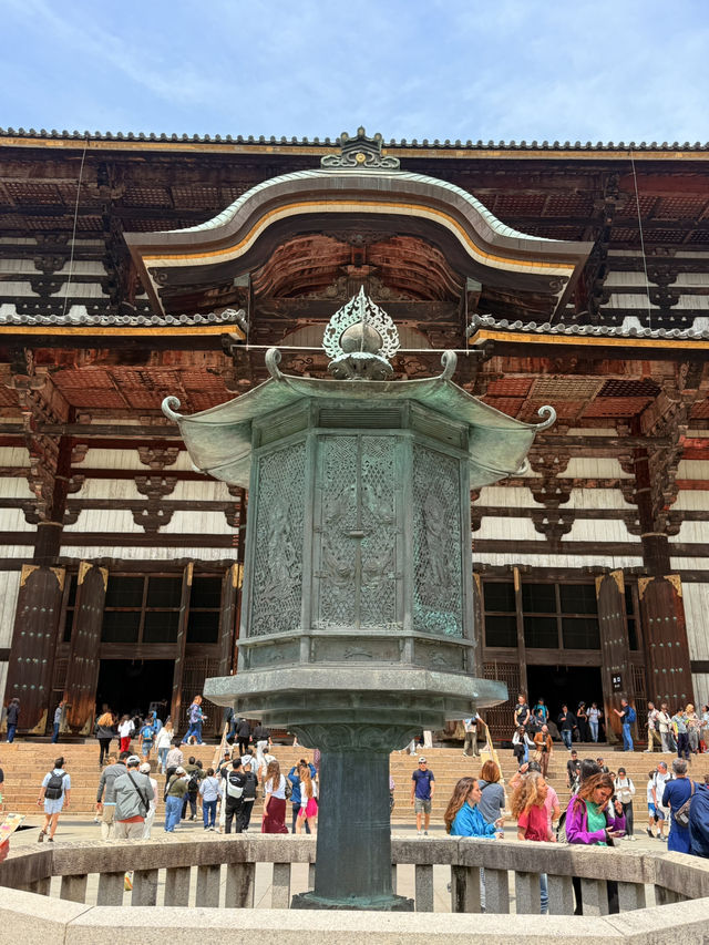 奈良｜5層樓高莊嚴大佛 到聖武天皇蓋的東大寺感受千年歷史