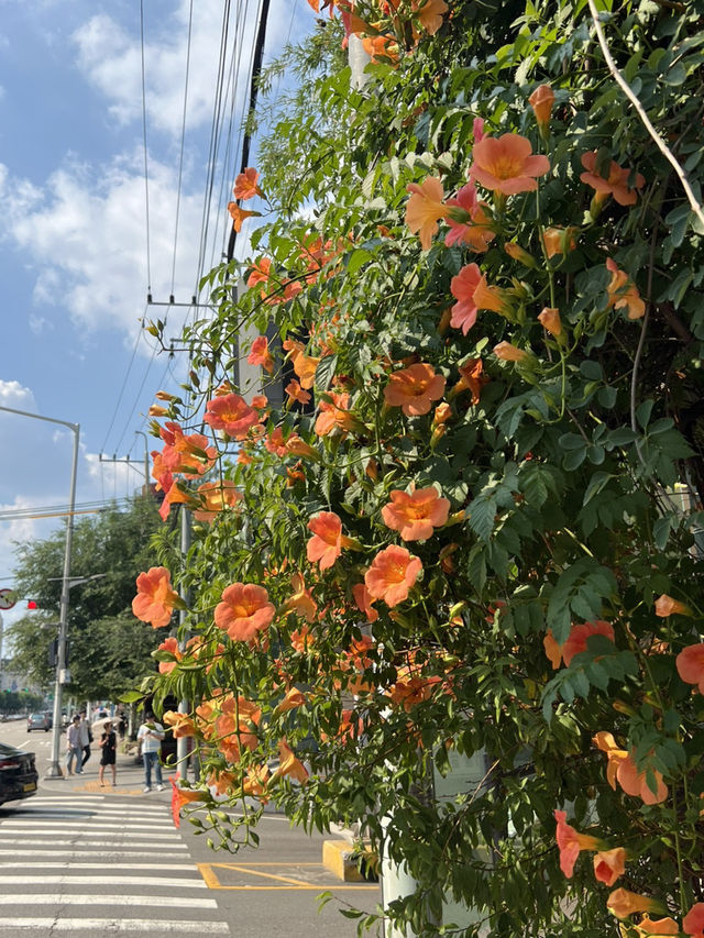 서울 용산 1박 2일 데이트 코스 후기💑✨