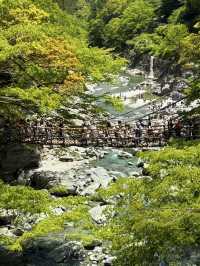 德島｜心跳加速產生戀愛錯覺的橋？ 日本三大奇橋祖谷藤蔓橋