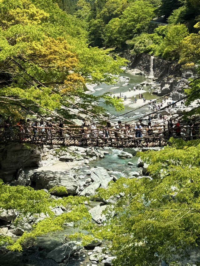 德島｜心跳加速產生戀愛錯覺的橋？ 日本三大奇橋祖谷藤蔓橋