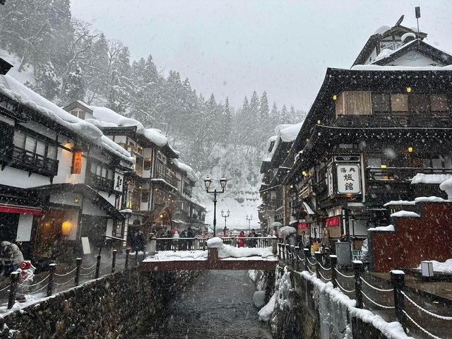 藏王雪山與浪漫仙子紫藤花