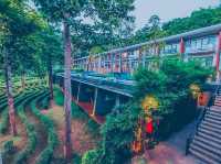🌿 รีวิว: Veranda High Resort Chiang Mai 