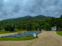 Awaji Hanasajiki Park: A Floral Wonderland Above the Sea