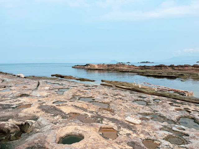 野柳地質公園初次探訪｜奇岩美景與酷熱考驗的一天｜寵物友善景點
