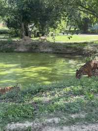 北碧府野生動物園