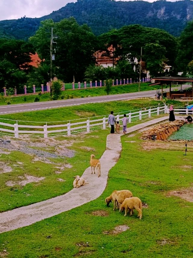 ลานสกาฟาร์มแกะ (Lansaka Sheep Farm)