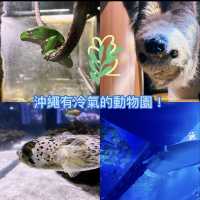 🍃沖繩新水族館DMM Kariyushi 視覺聽覺觸覺感官體驗！