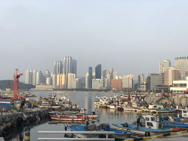 The morning of Busan