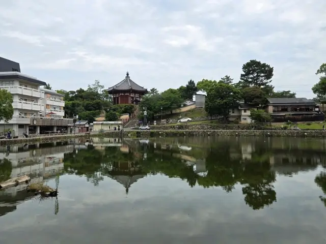 【奈良】猿澤池