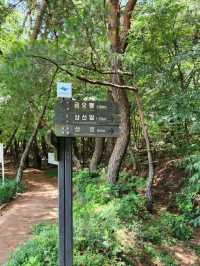 Climbing Gyeongju’s Namsan Geumobong Peak