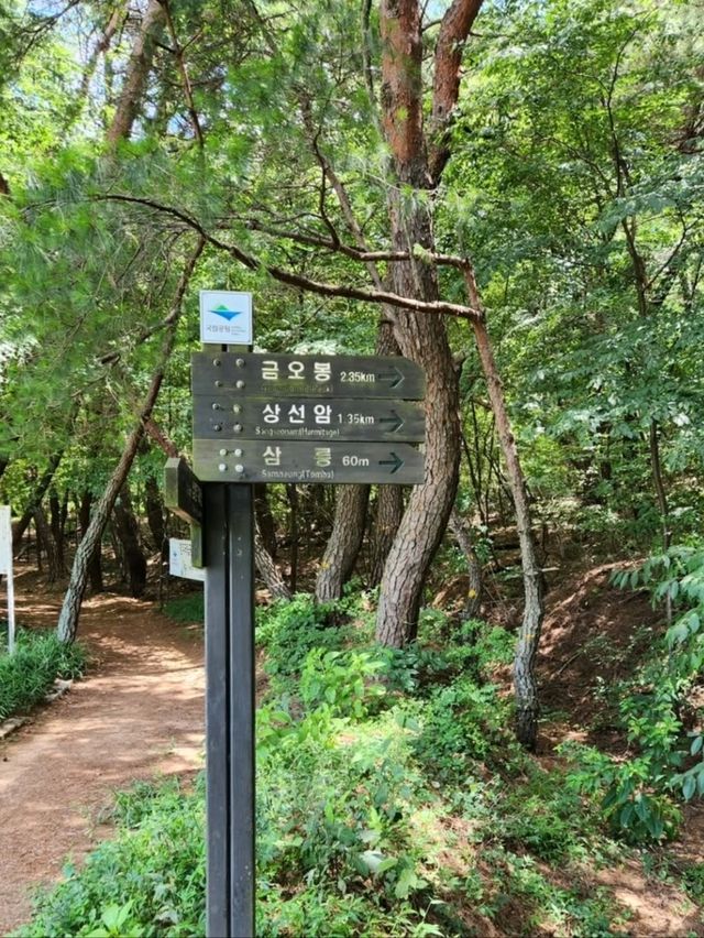 Climbing Gyeongju’s Namsan Geumobong Peak