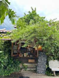 Shu homemade - เชียงใหม่