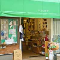 Tokyo's Hidden Gem: The Adorable "Cat Street" I'd Visit Countless Times! 😻🐾