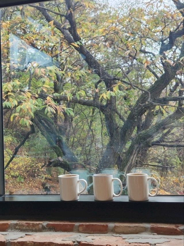 ソウル/北漢山の梺に位置する大型ベーカリーカフェ