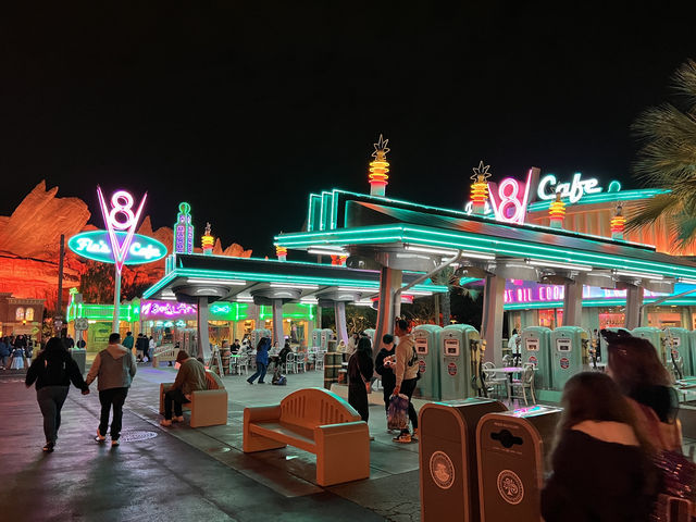 【夢の国】カリフォルニアディズニーで大興奮🇺🇸🐭🏰