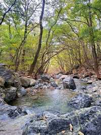 Forest Trails & Chill Peaks in Jangyu