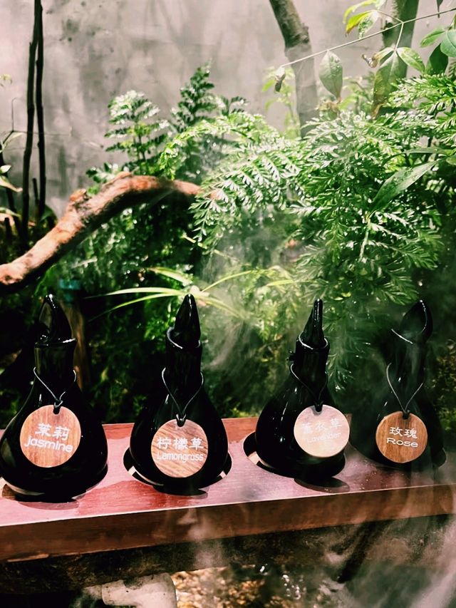 台北溫泉SPA會館推薦：台北森SPA足體養生館
