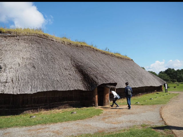 🎯【青森・三内丸山遺跡】1万年以上前の鼓動が響く、縄文の森でタイムスリップ体験