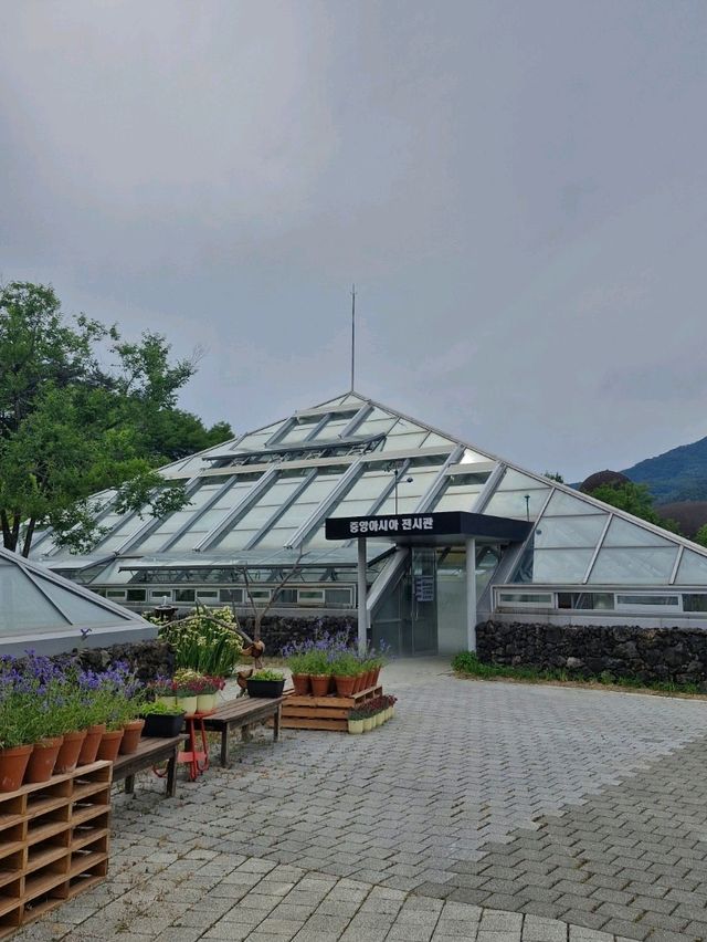 고산 지대 식물들이 전시되어 있는 알파인하우스🏡