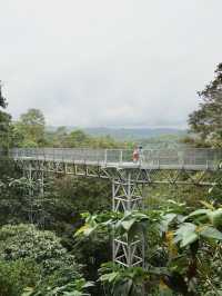 คนรักธรรมชาติห้ามพลาด ที่เที่ยวแนะนำ จ.เชียงใหม่