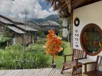 Ai Nara Cafe แม่ริม เชียงใหม่