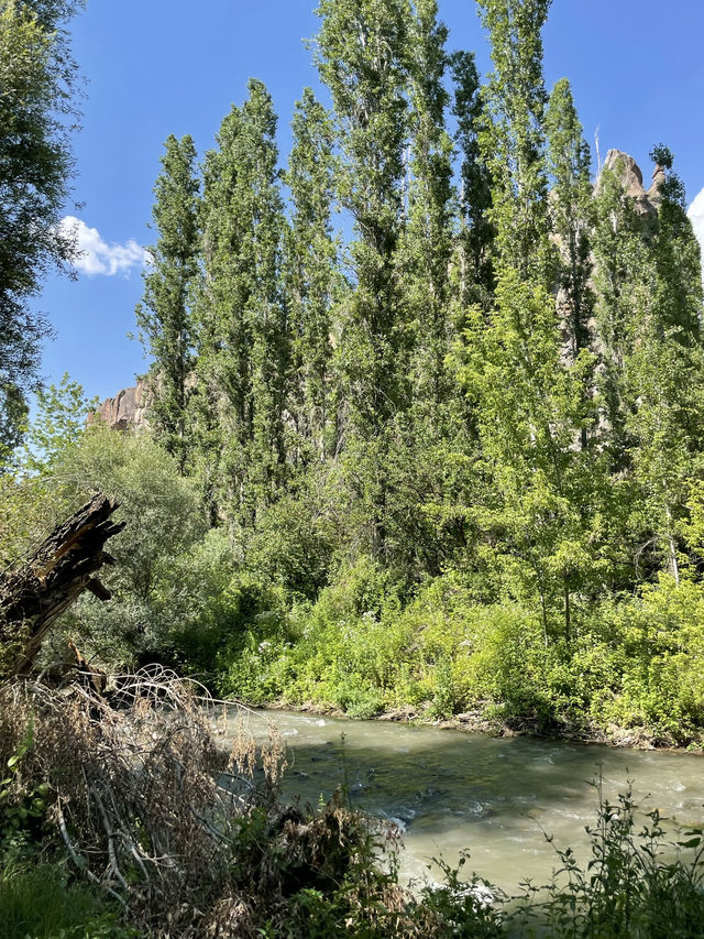 Beautiful walk in nature along the river🥹✨
