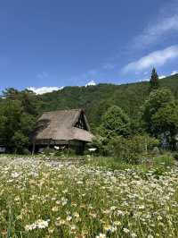 Day Trip from Nagoya: Shirakawa-go and Takayama