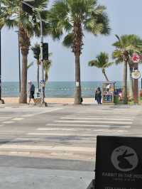 Rabbit in the Moon ร้านกาแฟสวยหาดจอมเทียน
