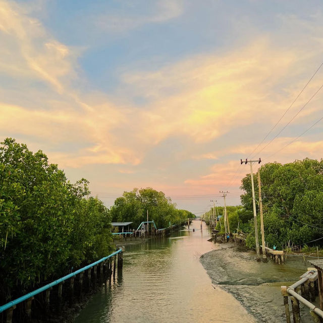 ปั่นจักรยานเที่ยว 🚲สะพานรักษ์ทะเล 📍บางขุนเทียน✨
