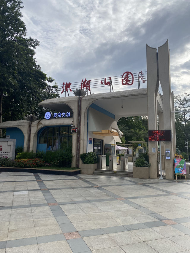 深圳洪湖公園，一年一度的荷花展，千萬不要錯過啊🪷