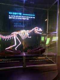 조카랑 가족끼리 주말 나들이로 최고!