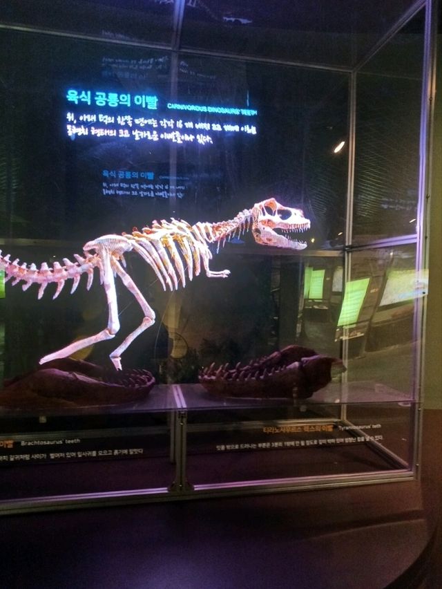 조카랑 가족끼리 주말 나들이로 최고!