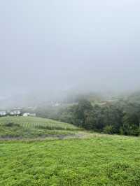 บ้านภูหมอก