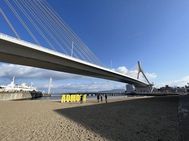 🌊 Hidden Coastal Charm – Aomori Ekimae Beach