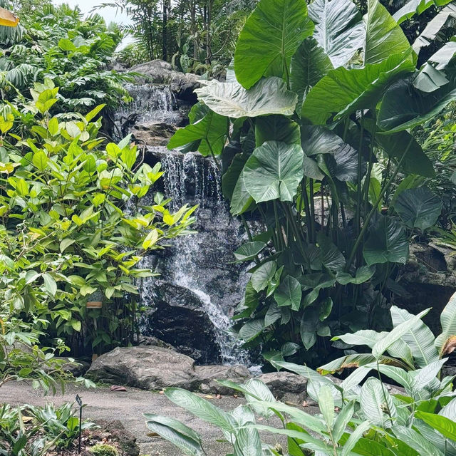 A Green Getaway in the Heart of the City 🇸🇬