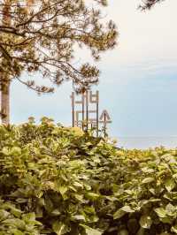 Songnim Park (송림공원), Busan: A Lush Retreat Famous for its Hydrangeas