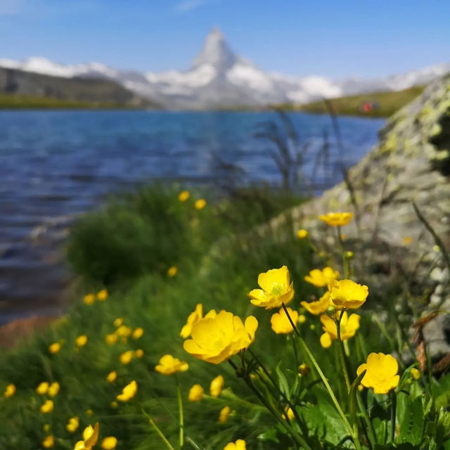 🏔️✨ Summer Weekend at the Matterhorn: Alpine Majesty & Adventure 