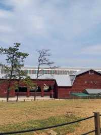 Cutest Farm Day Ever at Sanghafarm