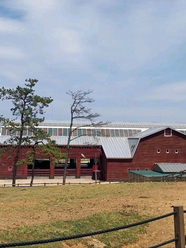 Cutest Farm Day Ever at Sanghafarm