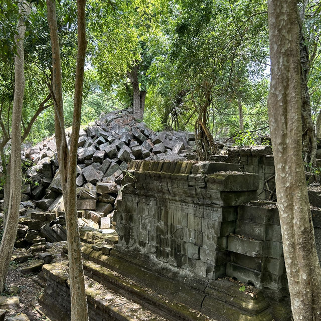 【ラピュタの世界🪐】ベンメリア遺跡で出会った崩れゆく美しさ🌿 