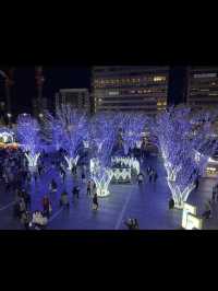 【光と味の祭典🎇】博多駅で夜も楽しむグルメ＆イルミネーション旅