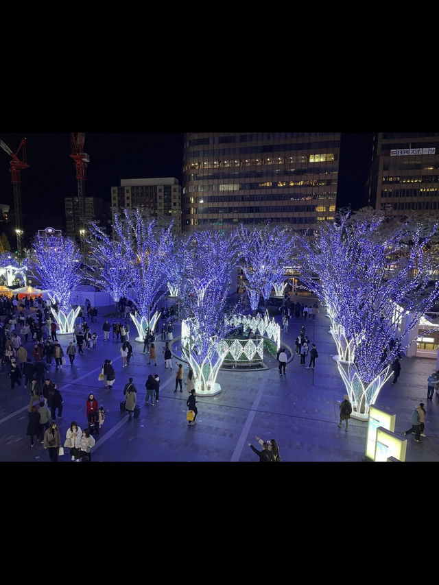 【光と味の祭典🎇】博多駅で夜も楽しむグルメ＆イルミネーション旅