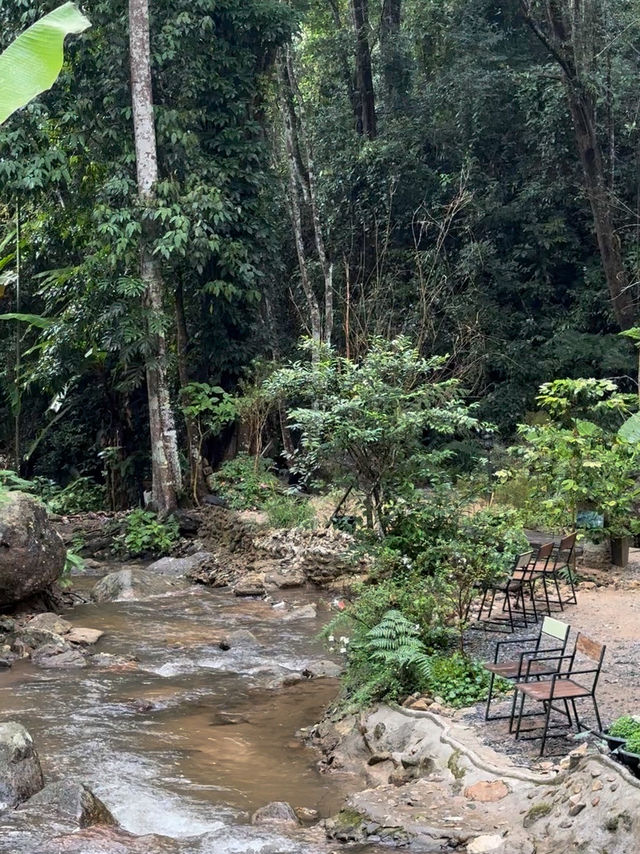 Proud Cafe: The Dreamy Riverside Hideout in Mae Kampong