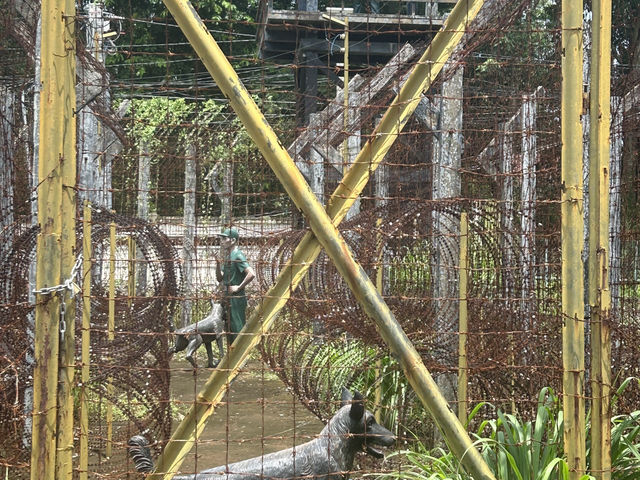 富國島：放鬆渡假好地方