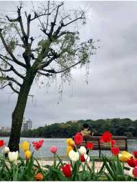 Spring @ Fukuoka 