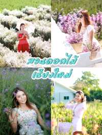ชวนเที่ยวสวรดอกไม้ เชียงใหม่