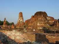 🌿 Whispers of the Past at Wat Mahathat, Ayutthaya