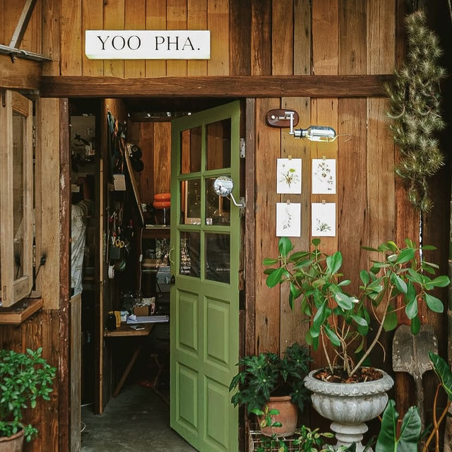 อยู่ป่า - Yoo Pha Bar & Cafe