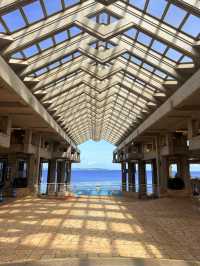 沖繩｜再遠都值得跑一趟 美麗海水族館的黑潮之美
